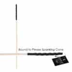 Bound to Please Spanking Cane