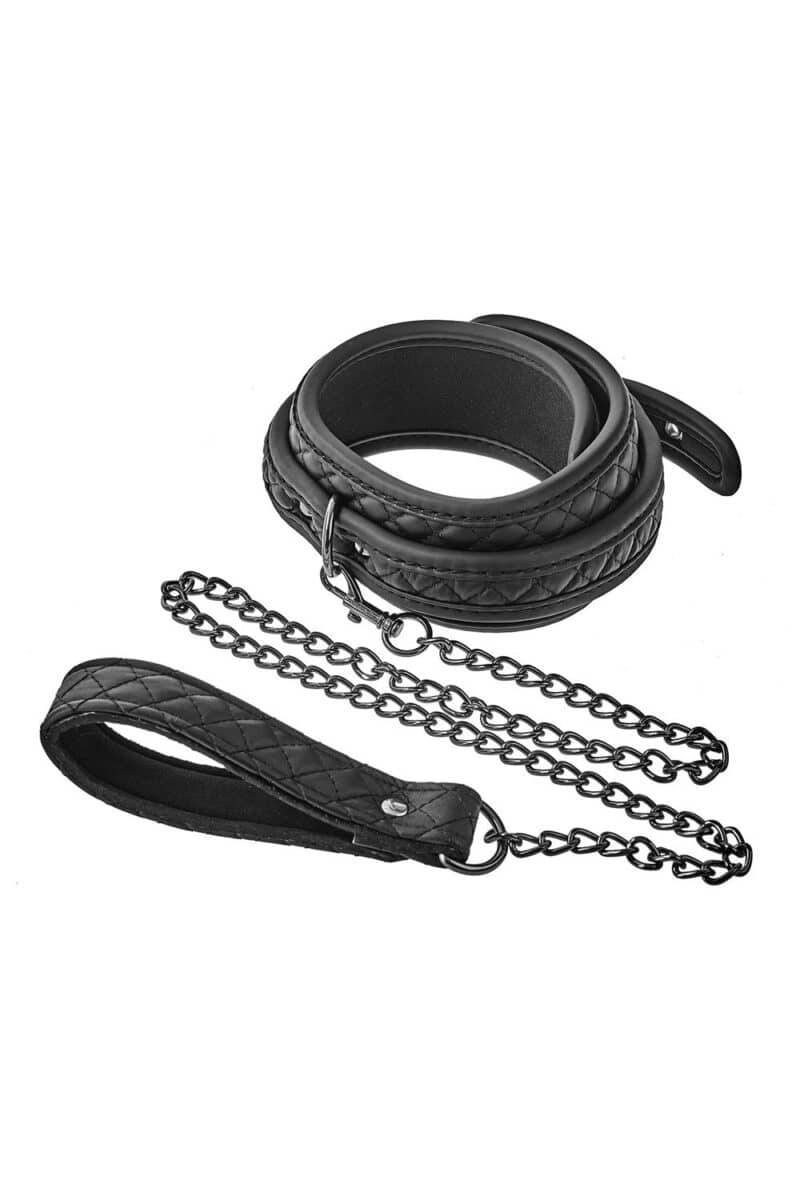 Blaze Collar & Leash - Image 2