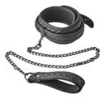 Blaze Collar & Leash