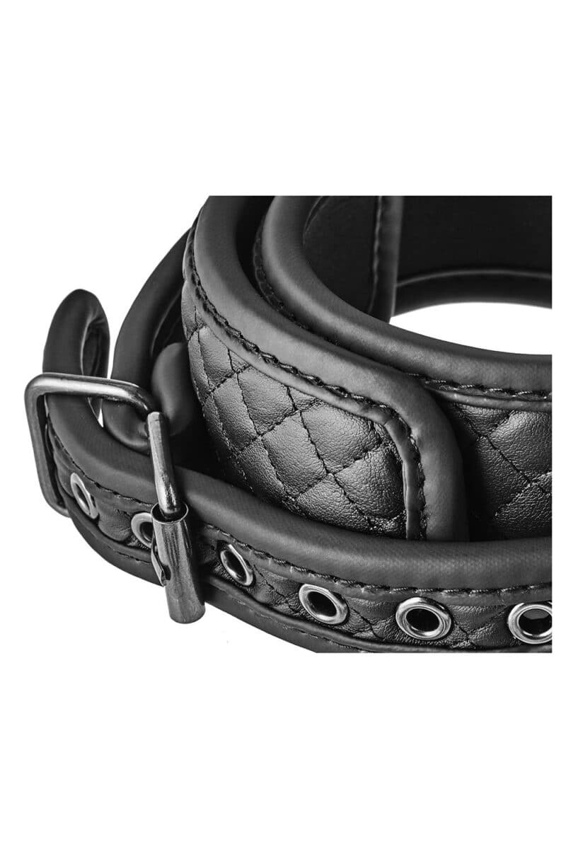 Blaze Collar & Leash - Image 7