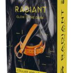 Collar Leash selvlysende