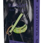 Collars Leash selvlysende