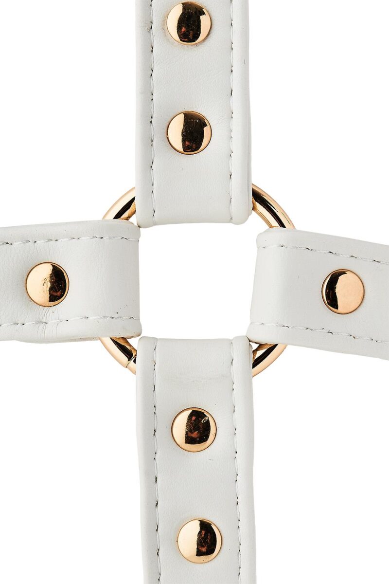 Hog Tie - Image 2