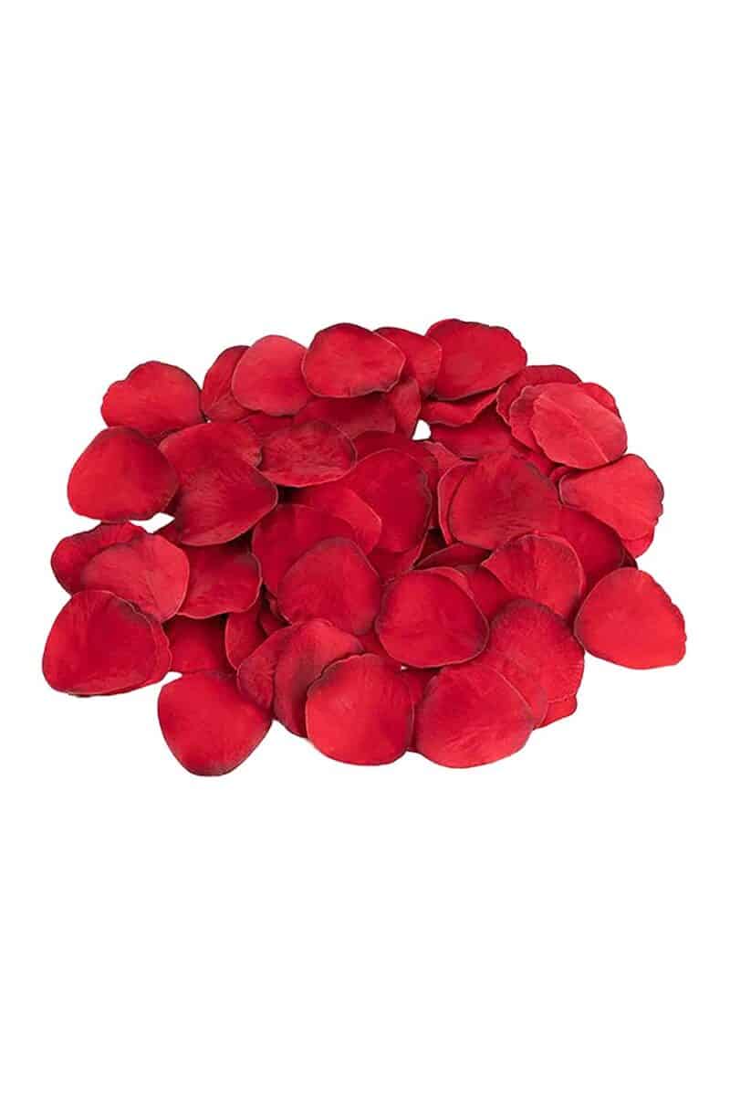Heart Pleasure anal Kit - Image 4