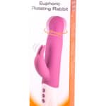 Euphoric kaninvibrator