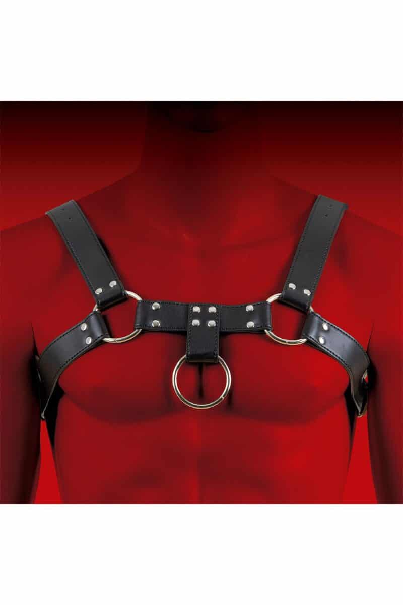 Man Bondage Body Harness Model 4 - Image 4