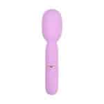 Petites 10 Speed ​​Wand Vibrator