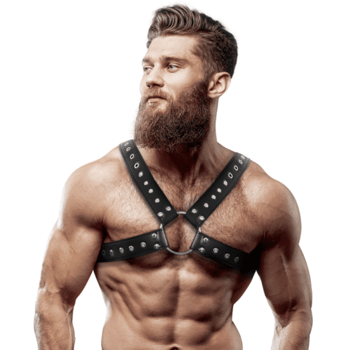 Cross Over Leather Chest Harness