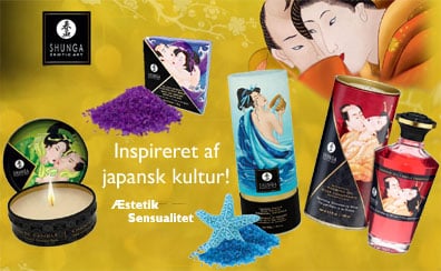 Shunga wellness produkter Diskret sexlegetøj online